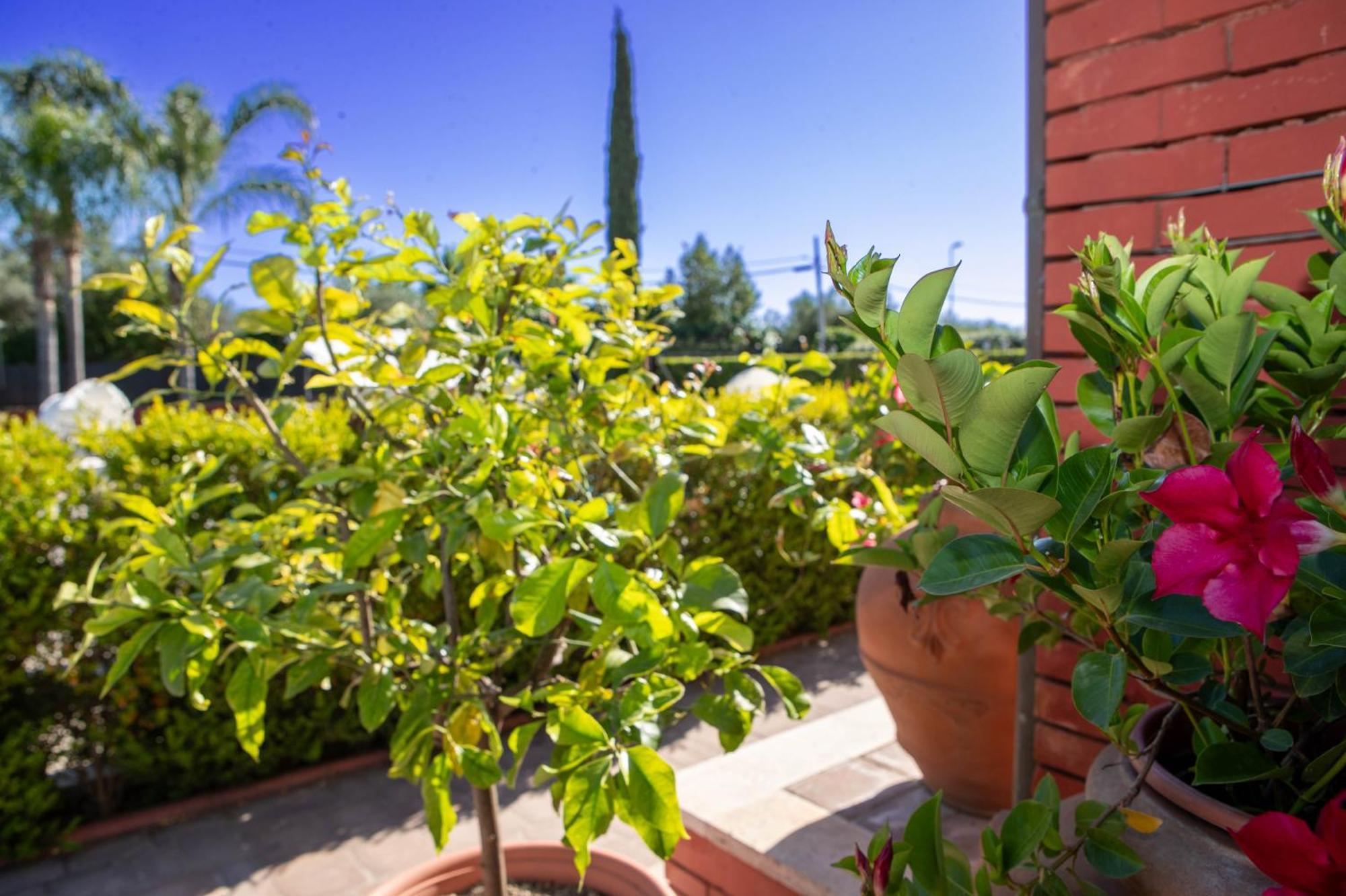 Relais Villa Italia Selcetta Bagian luar foto