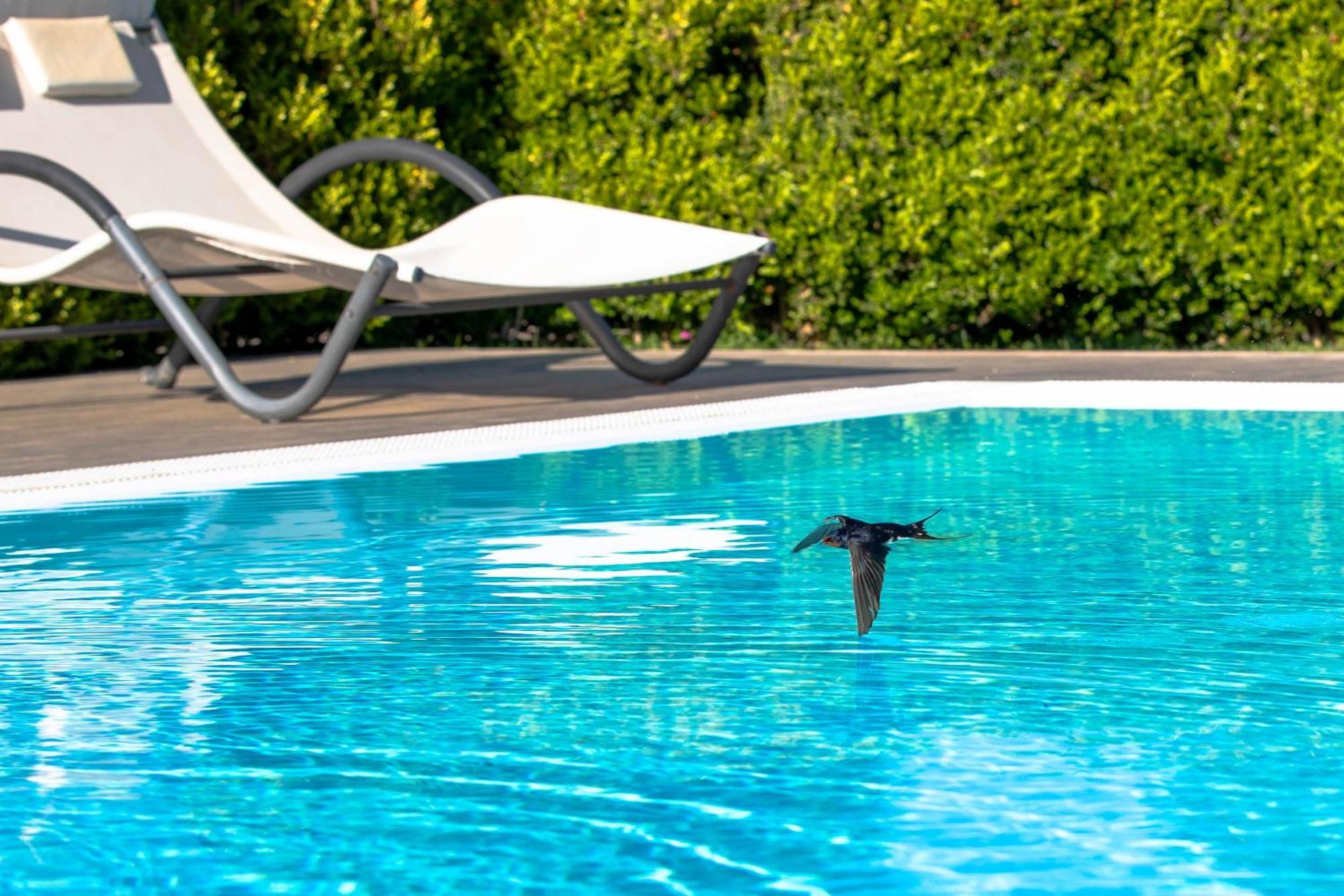 Relais Villa Italia Selcetta Bagian luar foto